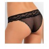 Jadea intimo 1495